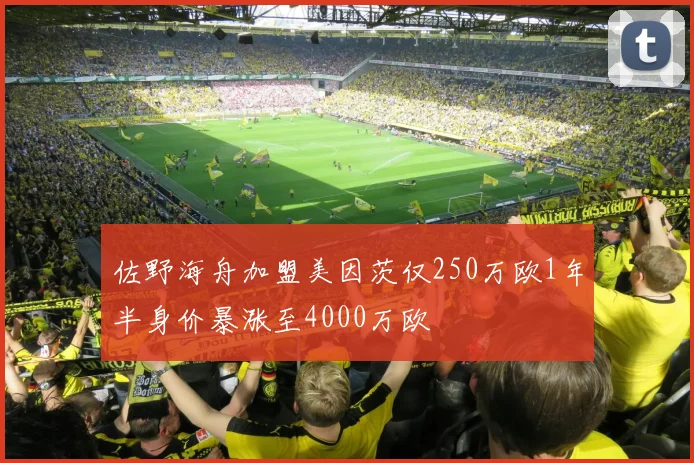佐野海舟加盟美因茨仅250万欧1年半身价暴涨至4000万欧