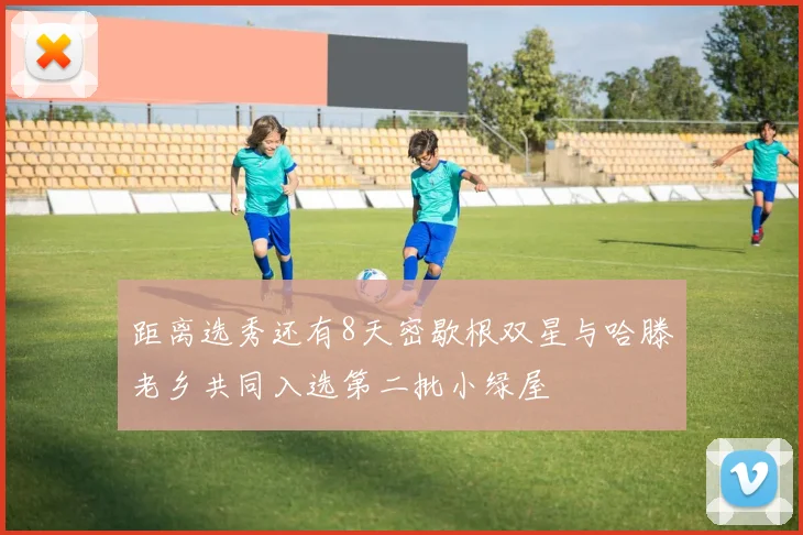 距离选秀还有8天密歇根双星与哈滕老乡共同入选第二批小绿屋