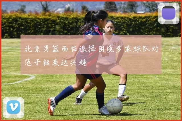 北京男篮面临选择困境多家球队对范子铭表达兴趣